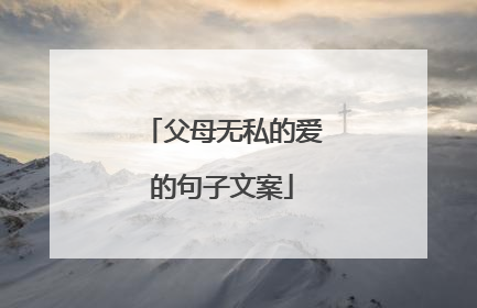 父母无私的爱的句子文案