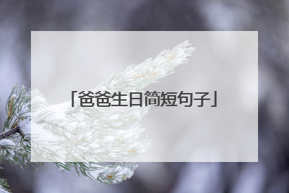 爸爸生日简短句子