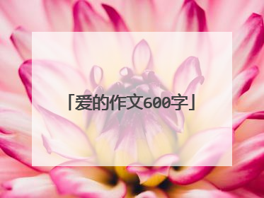 爱的作文600字