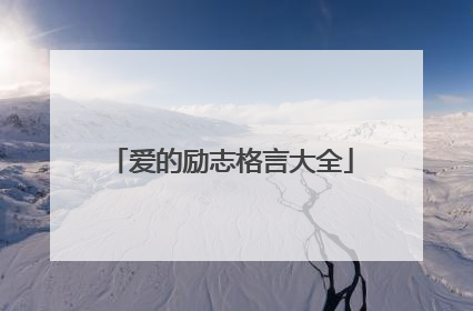 爱的励志格言大全