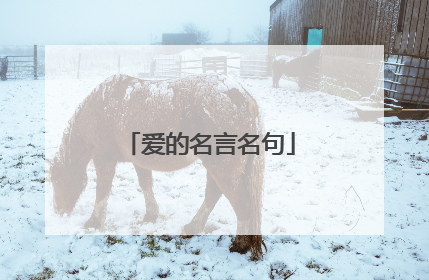 爱的名言名句
