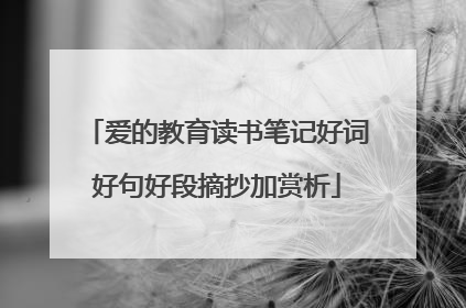 爱的教育读书笔记好词好句好段摘抄加赏析