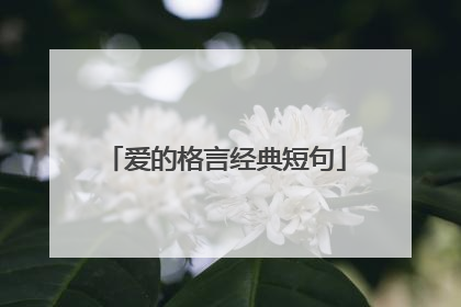 爱的格言经典短句