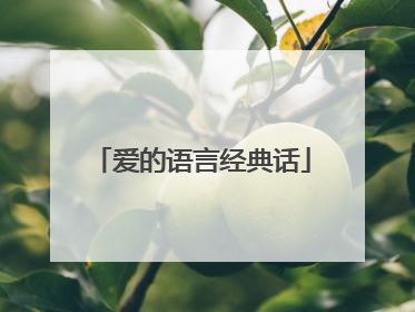 爱的语言经典话