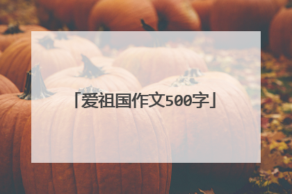 爱祖国作文500字