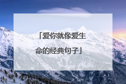 爱你就像爱生命的经典句子