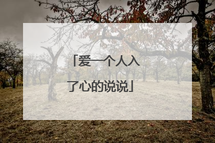 爱一个人入了心的说说