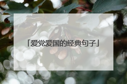 爱党爱国的经典句子
