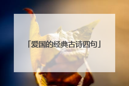 爱国的经典古诗四句