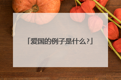 爱国的例子是什么?