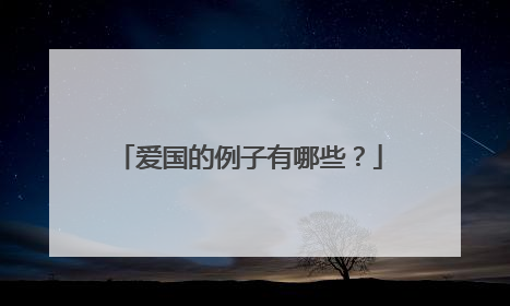 爱国的例子有哪些？