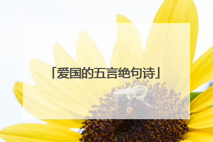 爱国的五言绝句诗