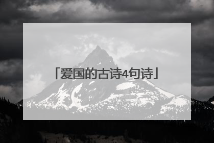 爱国的古诗4句诗