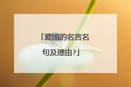 爱国的名言名句及理由?