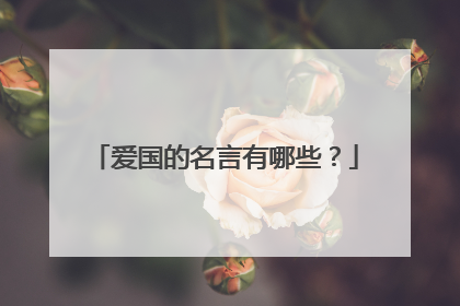 爱国的名言有哪些?
