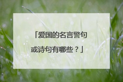 爱国的名言警句或诗句有哪些?