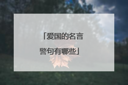 爱国的名言警句有哪些