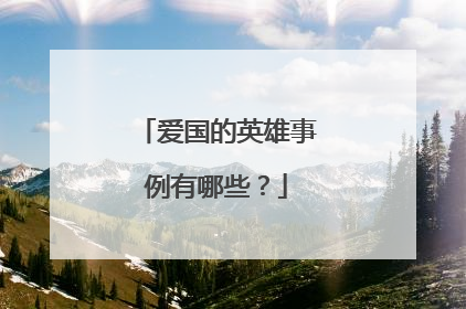 爱国的英雄事例有哪些？