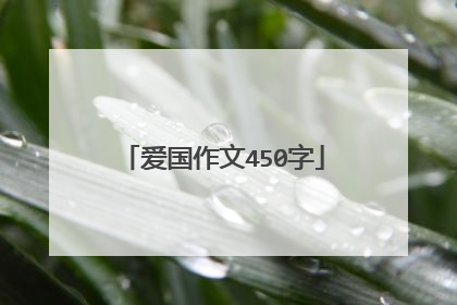爱国作文450字