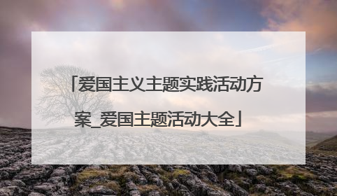 爱国主义主题实践活动方案_爱国主题活动大全