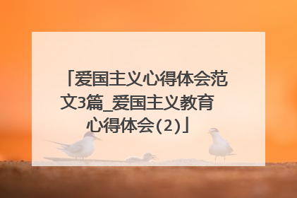 爱国主义心得体会范文3篇_爱国主义教育心得体会(2)