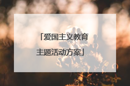 爱国主义教育主题活动方案