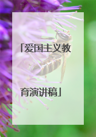 爱国主义教育演讲稿