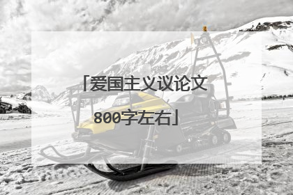 爱国主义议论文800字左右
