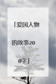 爱国人物的故事200字