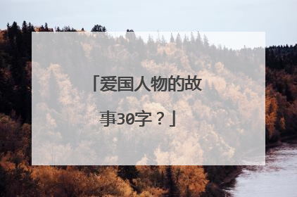 爱国人物的故事30字?
