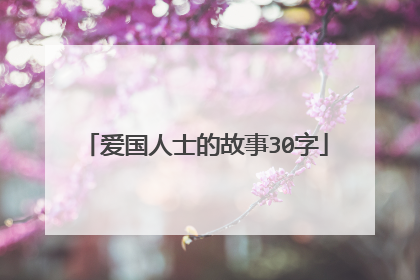 爱国人士的故事30字