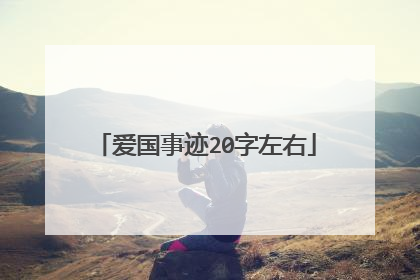爱国事迹20字左右