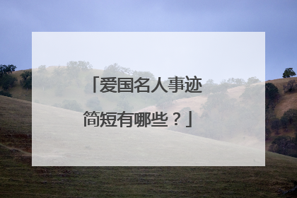 爱国名人事迹简短有哪些?