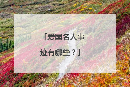 爱国名人事迹有哪些？