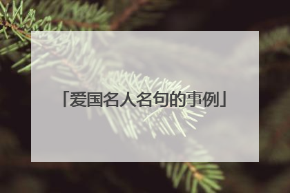 爱国名人名句的事例