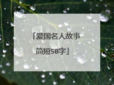 爱国名人故事简短50字