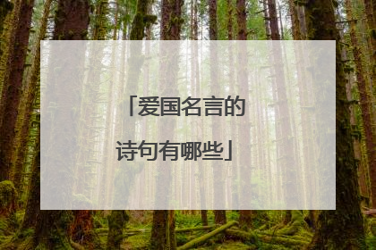 爱国名言的诗句有哪些