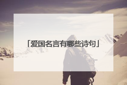 爱国名言有哪些诗句