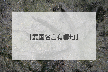 爱国名言有哪句