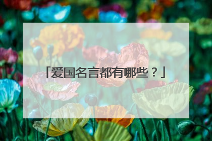 爱国名言都有哪些？