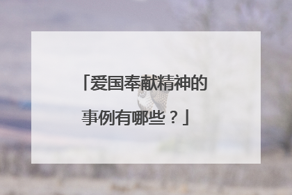 爱国奉献精神的事例有哪些？