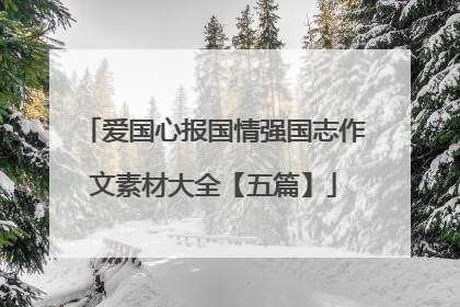 爱国心报国情强国志作文素材大全【五篇】