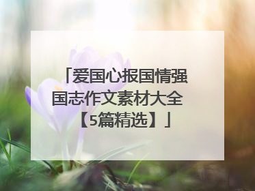 爱国心报国情强国志作文素材大全【5篇精选】