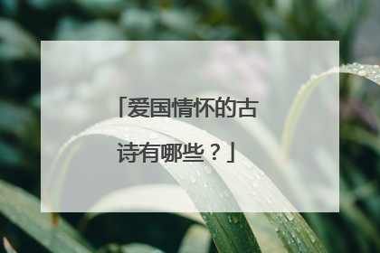 爱国情怀的古诗有哪些?