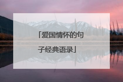 爱国情怀的句子经典语录