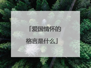 爱国情怀的格言是什么