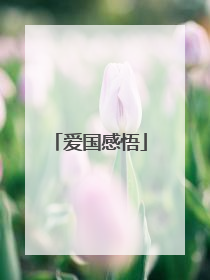 爱国感悟