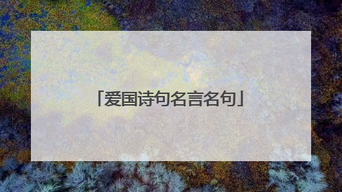 爱国诗句名言名句