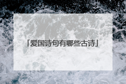 爱国诗句有哪些古诗