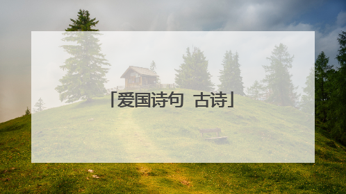 爱国诗句 古诗